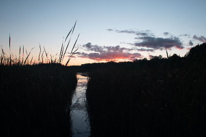 优发国际亚洲线上赛事玩法指南及优惠活动全面解读