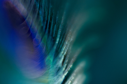 优发国际官网安全性评估与账户开设资金管理全流程指南