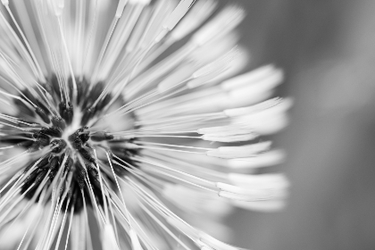 优发app界面设计与性能优化及用户体验提升指南