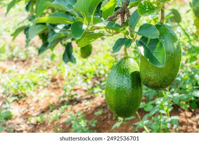 优博平台官网注册完成后的激活与账户安全设置详解