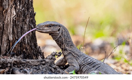 企业级365备用址部署流程、风险防控及备份策略详解 企业级365备用址部署流程、风险防控及备份策略详解