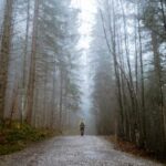 2025091期3d开奖结果最新公布与详细分析 36nzip