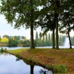 2025090期开奖结果公布与中奖号码查询 3a6y2le