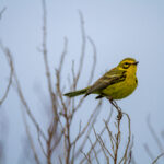 2025091期开奖结果公布最新号码揭晓 6423mxz6px