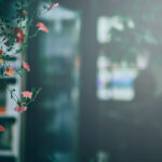 2025085期双色球开奖号码结果查询 a966xykvvh