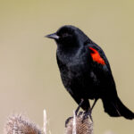 3选7开奖结果揭晓:幸运号码震撼出炉 a9zupa