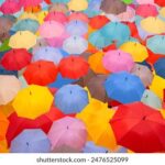 2025094期双色球开奖号码正式公布结果 fh3qrfw8u9