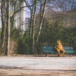 4001期开奖结果震撼揭晓,大奖花落谁家? lbbh3qwm