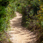 3的开奖结果走势图最新数据统计与分析 ol1vz72p