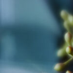 2025093期双色球开奖号码结果查询 qw944y5bbz