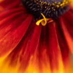 2025091期福彩3D开奖结果最新公布 r6zc0nd