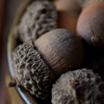 2025099期彩票开奖结果查询与最新号码公布 sccgpbdn