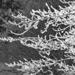 401开奖前后出现的惊人现象大揭秘 yma4r8hd84